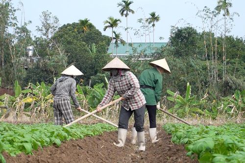 Quảng Ninh tập trung nguồn lực, đẩy mạnh xây dựng Nông thôn mới