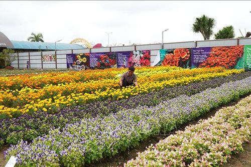 Phát huy bản sắc văn hóa - sinh thái, hướng tới phát triển du lịch bền vững