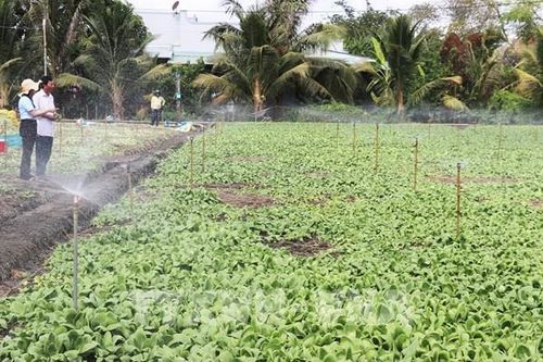 Chống sa mạc hóa gắn với quản lý bền vững đất đai và tài nguyên