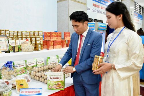 Bảo hộ sở hữu trí tuệ: Tăng sức cạnh tranh cho nông sản