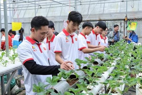 Phong trào 'Sinh viên 5 tốt': Hành trang trên con đường lập thân, lập nghiệp của sinh viên