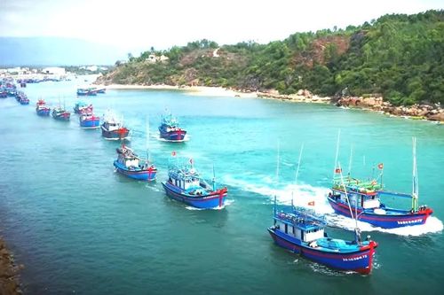 Gia Lai tái cấu trúc ngành thủy sản theo hướng hiện đại, bền vững