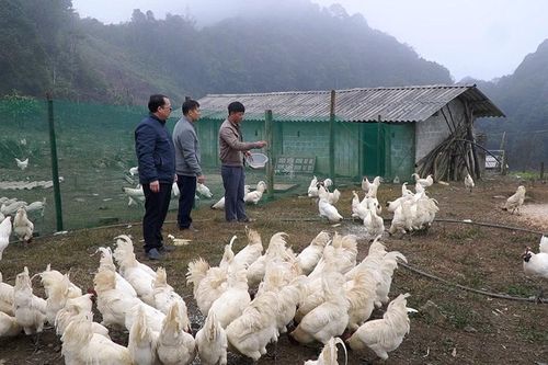 Viết tiếp ước mơ
