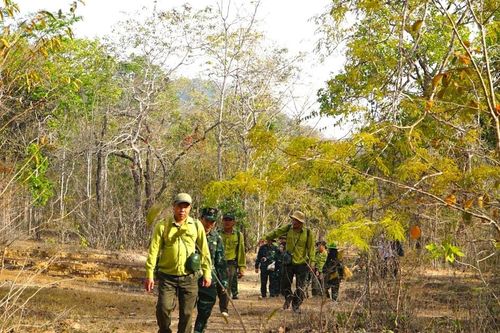 Lâm Đồng tăng cường phòng cháy chữa cháy rừng dịp tết
