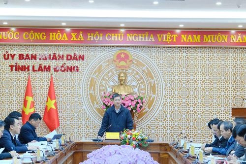 Lâm Đồng tháo gỡ vướng mắc trong chăm sóc cây xanh, vệ sinh môi trường tại Đà Lạt
