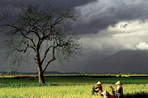 Hồn Việt qua ống kính nhiếp ảnh của nghệ sĩ Đất Tổ