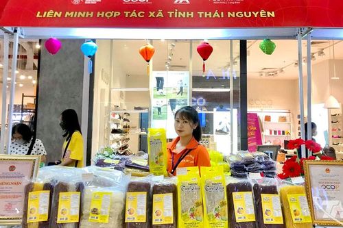 Đổi mới công nghệ, nâng tầm sản phẩm OCOP