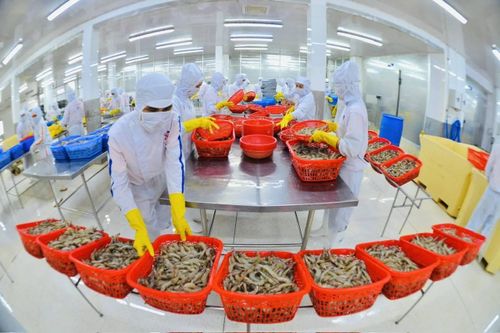 Xuất khẩu thủy sản vượt 11 tỷ USD, kỳ vọng năm 2026 bứt phá mạnh mẽ