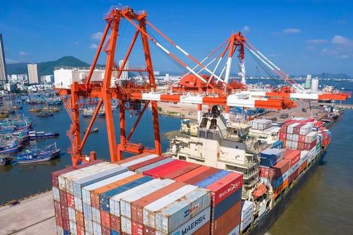 Cảng Quy Nhơn (QNP) đặt mục tiêu lãi trước thuế 195 tỷ đồng trong năm 2026