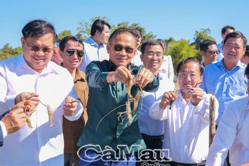 Dự án của tình hữu nghị