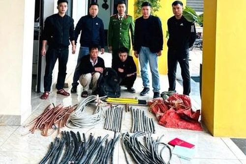 Hai anh em ruột vượt hơn 600km để trộm cắp tài sản