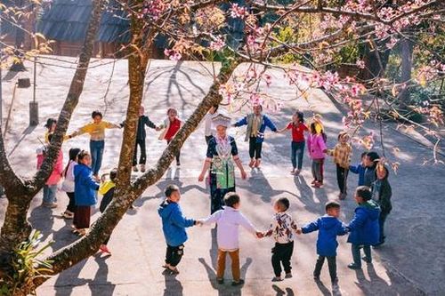 Hoa anh đào nhuộm hồng miền biên viễn xứ Nghệ