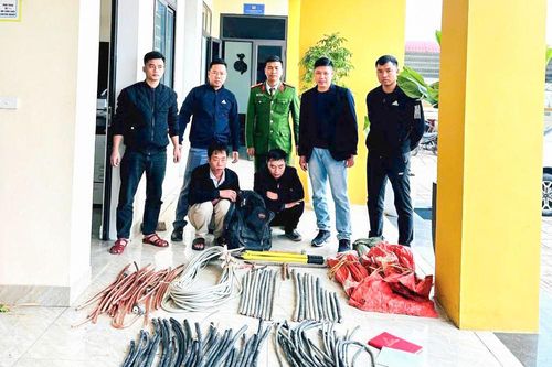 Liên tiếp bắt giữ các đối tượng trộm cắp tài sản trên địa bàn Hà Tĩnh
