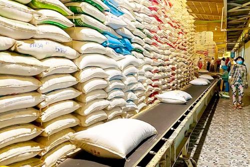 Từ xanh hóa sản xuất đến nâng cao lợi thế cạnh tranh cho hạt gạo Việt