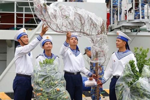 Hoa đào khoe sắc nơi quân cảng Cam Ranh