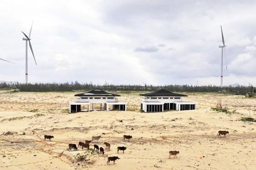 Chưa chấm dứt khu resort 5 sao ở biển Nhơn Lý - Cát Tiến vì vướng tranh chấp dân sự phức tạp
