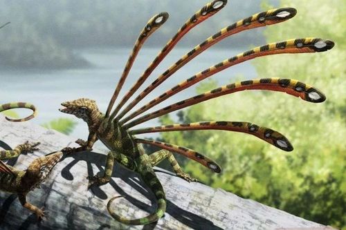 Loài bò sát dị thường 230 triệu tuổi khiến chuyên gia tranh cãi 'nảy lửa'