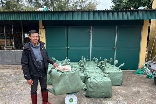 Đồn Biên phòng Trà Cổ bắt giữ vụ vận chuyển trái phép thực phẩm đông lạnh không rõ nguồn gốc