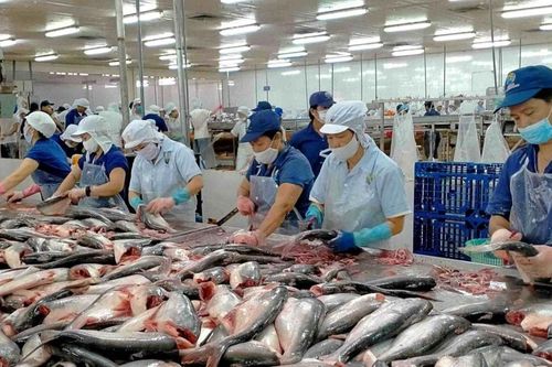 Chủ tịch Nam Việt (ANV) muốn thoái sạch vốn cá nhân: Cổ phiếu tăng 36%, lợi nhuận gấp 18 lần nhưng lãnh đạo vẫn tranh thủ 'chốt lời'?