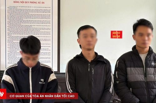 Xét xử nhóm bị cáo làm giả hàng trăm tài liệu cơ quan, tổ chức