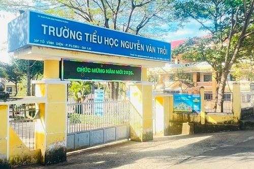 Nữ hiệu trưởng trải lòng việc tạm dừng bán trú, có áp lực từ việc chi trả lương