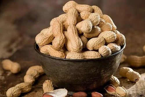 Ăn lạc không đúng cách cũng có thể nguy hiểm đến tính mạng?
