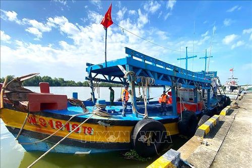 Tạm giữ tàu vận chuyển hơn 100.000 lít dầu trái phép trên biển