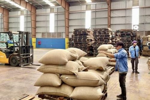 Gia Lai: Xuất khẩu bứt phá, nông sản tiếp tục giữ vai trò 'trụ đỡ'