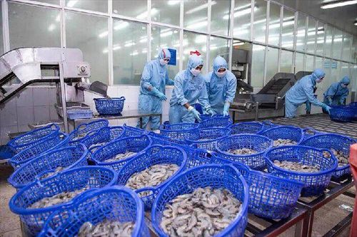 Sao Ta ước lãi 420 tỷ đồng năm 2025