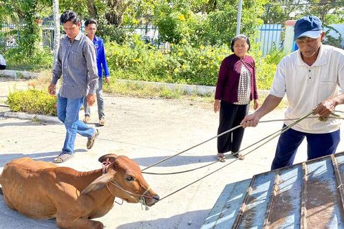 Trao sinh kế cho hộ nghèo vùng Bảy Núi