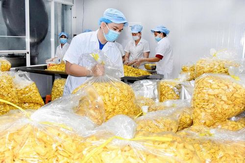 Việc làm - mối lo đầu năm