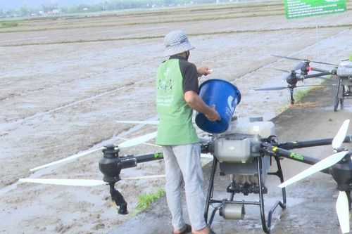 Ứng dụng máy bay không người lái trong phun thuốc bảo vệ thực vật