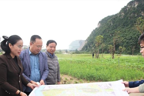 Đẩy nhanh tiến độ triển khai các dự án trọng điểm trên địa bàn Đà Nẵng