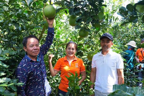 Điểm đến xanh trong tương lai