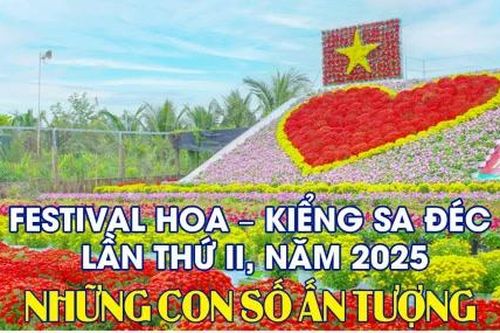 Festival Hoa - Kiểng Sa Đéc lần thứ II, năm 2025: Những con số ấn tượng