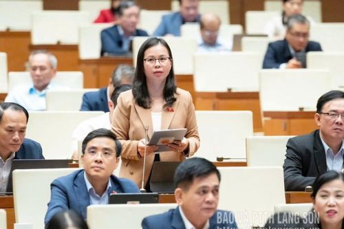 Lá phiếu của niềm tin