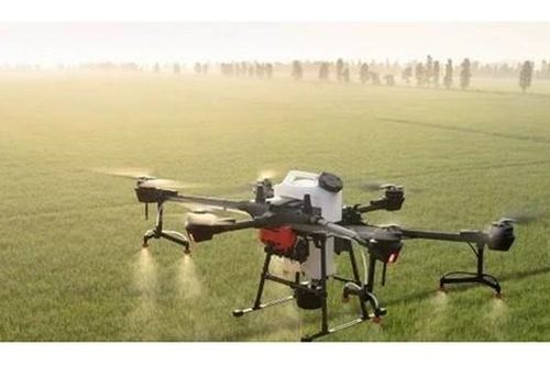 Ban hành Danh mục thuốc bảo vệ thực vật được phép và cấm sử dụng tại Việt Nam