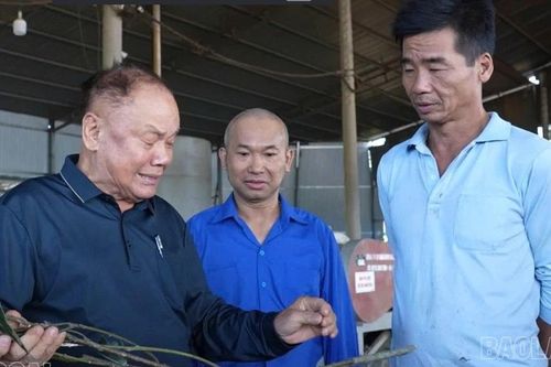 'Chìa khóa' mở lối thoát nghèo ở vùng cao