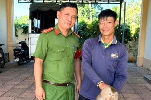 Người dân Lâm Đồng tự nguyện giao nộp cá thể khỉ đuôi lợn