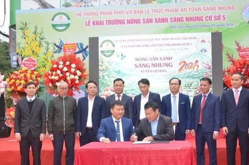 Trung tâm Nông sản xanh Sáng Nhung: Cung cấp hàng OCOP chất lượng cao