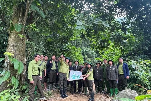 Nỗ lực bảo vệ và phát triển rừng bền vững