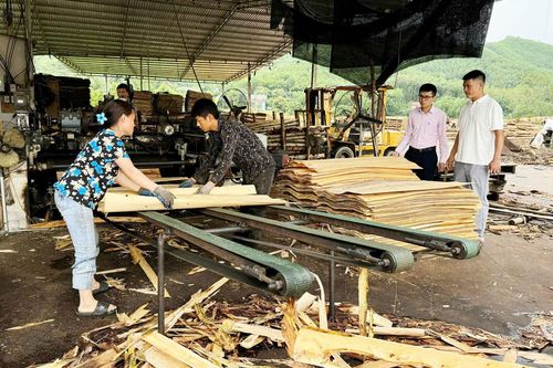 Tổng dư nợ chương trình cho vay giải quyết việc làm đạt 2.795 tỷ đồng