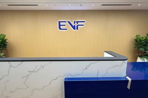Nhóm Amber Capital trở thành cổ đông lớn của EVF