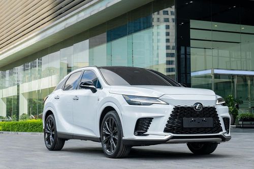 Lexus Việt Nam triệu hồi hơn 2.700 xe để cập nhật phần mềm hỗ trợ đỗ
