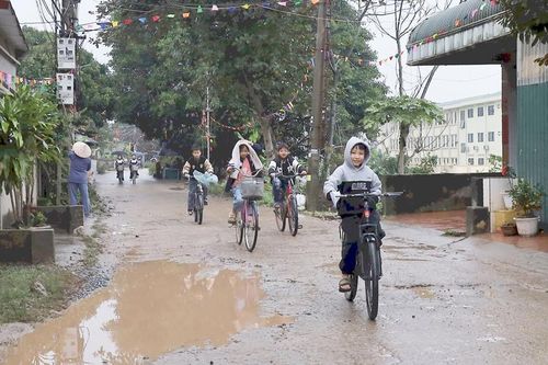 Cải tạo, nâng cấp đê tả Bùi, hữu Đáy: Không thể chậm trễ hơn nữa