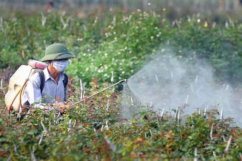 Rà soát loại bỏ các thuốc bảo vệ thực vật có nguy cơ ảnh hưởng sức khỏe con người, vật nuôi