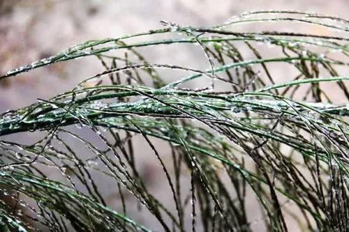 Sáng 7/1/2026: Nhiệt độ nhiều địa phương giảm mạnh, có nơi chỉ còn 2.9 độ C