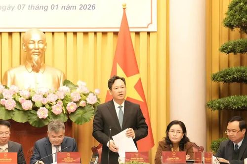 Tố tụng đặc thù cho Tòa án chuyên biệt tại Trung tâm tài chính quốc tế