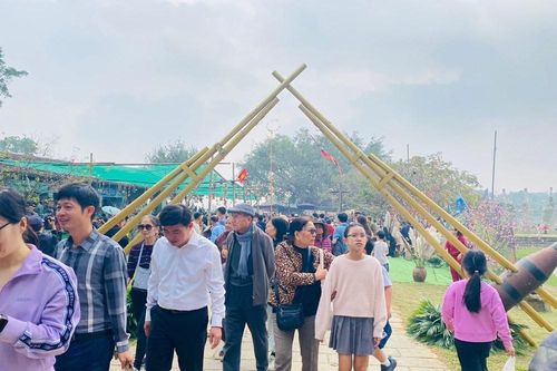 Nhịp sống sau Tết Dương lịch: Phố phường sôi động, du lịch bứt tốc