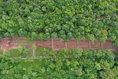 Vết tích nhận diện con đường thiêng tại di tích Mỹ Sơn